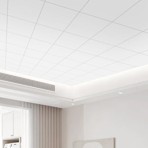 2 ft. x 2 ft. PVC Smooth Lay-in Ceiling Tile (48 sq.ft./case)