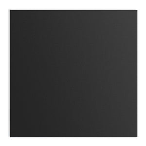 2 ft. x 2 ft. PVC Smooth Lay-in Ceiling Tile (48 sq.ft./case)