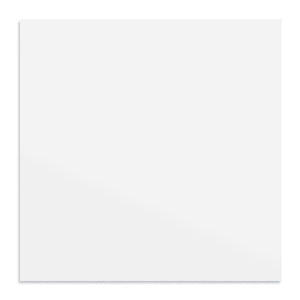 2 ft. x 2 ft. PVC Smooth Lay-in Ceiling Tile (48 sq.ft./case)