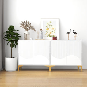 two-door decorative cabinet with modern style