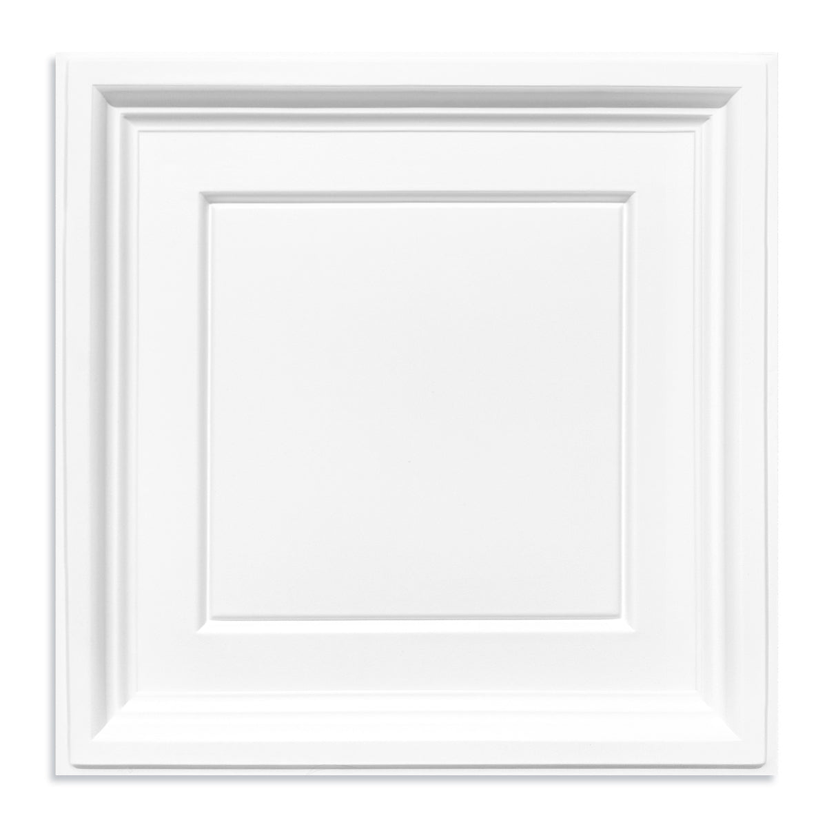 PVC 2 ft. x 2 ft. Drop in Ceiling Tile (48 sq.ft./case)