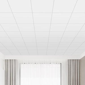 2 ft. x 2 ft. PVC Smooth Lay-in Ceiling Tile (48 sq.ft./case)