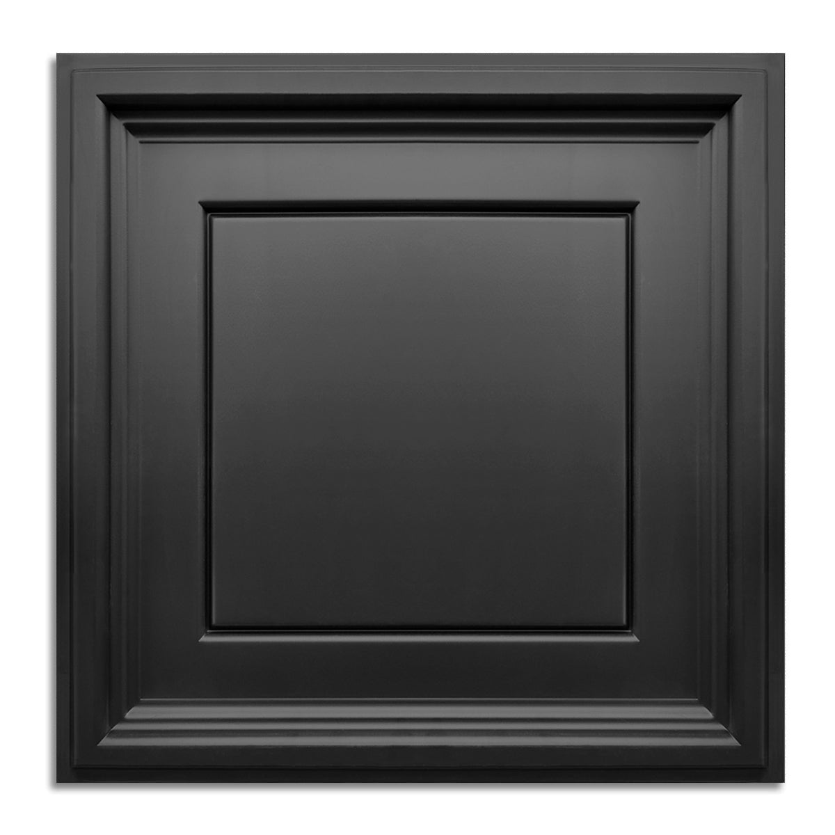 PVC 2 ft. x 2 ft. Drop in Ceiling Tile (48 sq.ft./case)