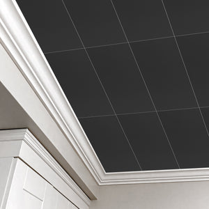 2 ft. x 4 ft. PVC Lay-in Ceiling Tile (80 sq.ft./case)