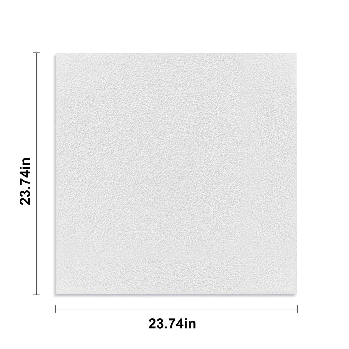 2 ft. x 2 ft. PVC Lay-in Ceiling Tile (48 sq.ft./case)