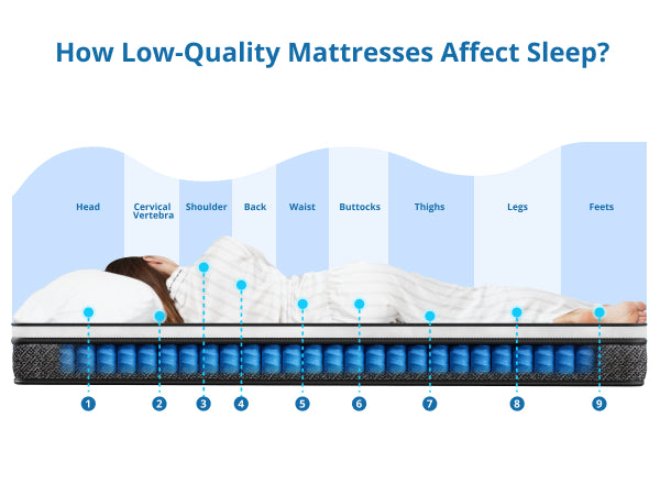 Queen Medium Firm Hybrid Knitted Fabric Cover Pocketed Spring 10 in. Bed-in-a-Box Mattress