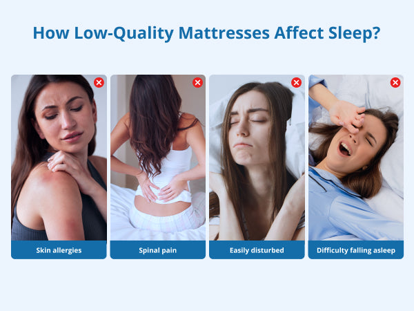 Queen Medium Firm Hybrid Knitted Fabric Cover Pocketed Spring 10 in. Bed-in-a-Box Mattress